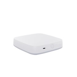 Gateway ZigBee, Tuya, Smart Life Gateway ZigBee, Tuya, Smart Life